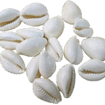 Natural White Kaudi