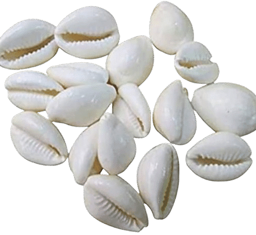 Natural White Kaudi