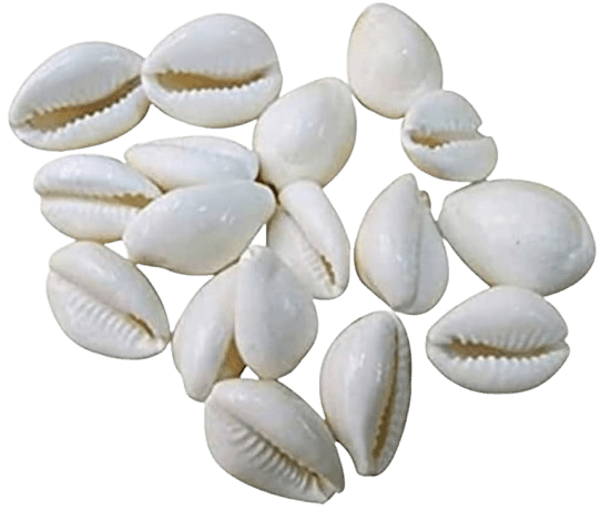 Natural White Kaudi