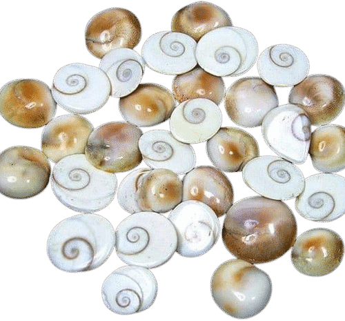 Natural Gomti Chakra Stones