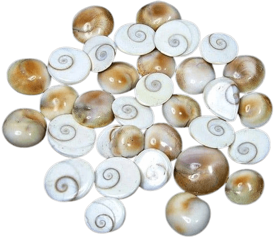 Natural Gomti Chakra Stones