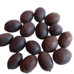 Kamal Gatta (Lotus Seeds)