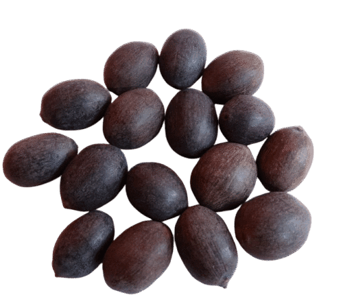 Kamal Gatta (Lotus Seeds)