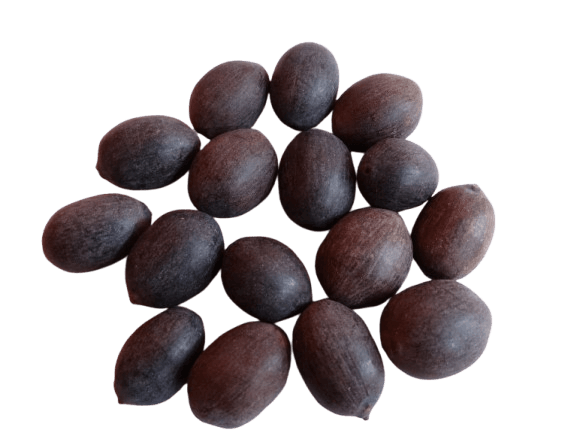 Kamal Gatta (Lotus Seeds)
