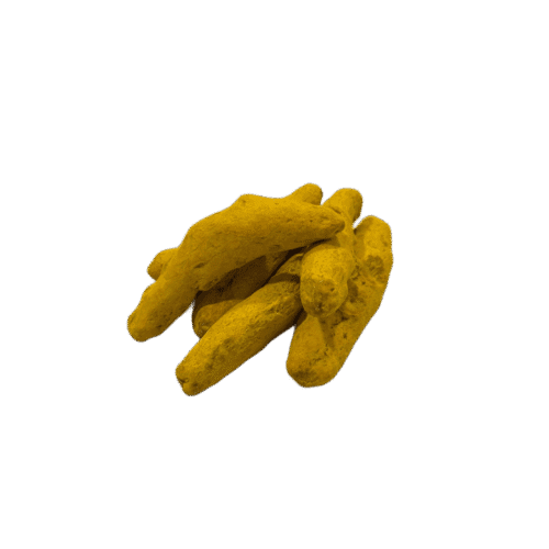 Pure Haldi Ganth – Sacred Turmeric Knots