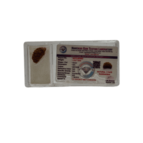 1 Mukhi Rudraksha – Nepali Bead for Peace & Moksha