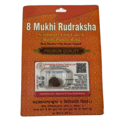 8 Mukhi Nepali Rudraksha with Silver Cap & Certificate – Original