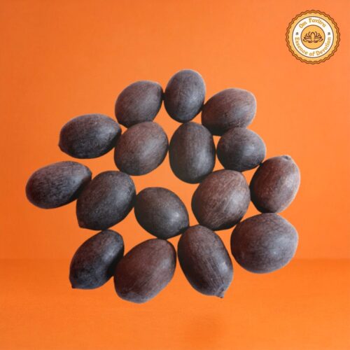 Kamal Gatta (Lotus Seeds)