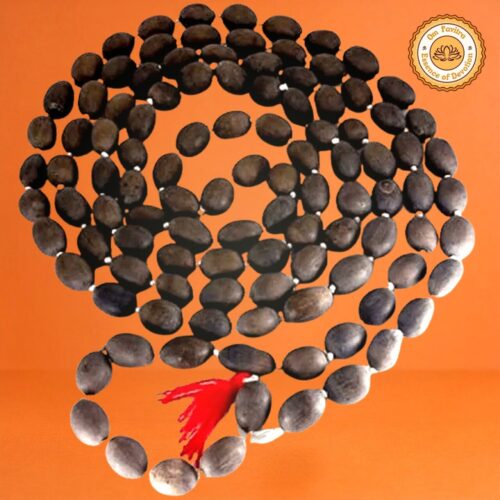 Lotus Seeds (Kamal Beej) Mala